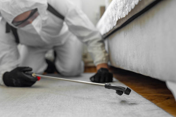 Professional Pest Control technician working in Randolph County County, GA